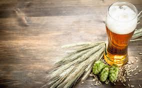  Beer in bangalore