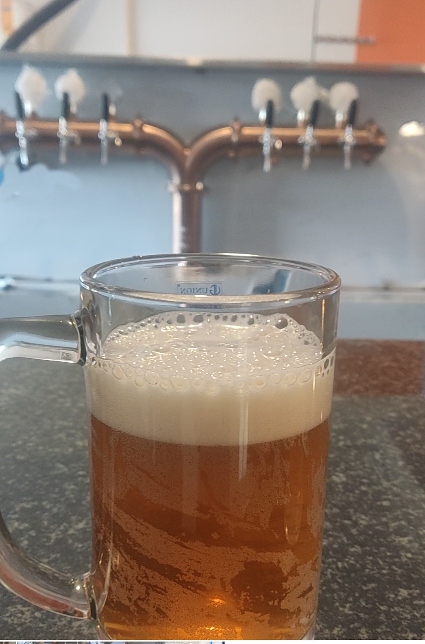 bh beer malur
